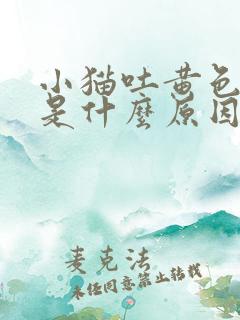 小猫吐黄色液体是什么原因