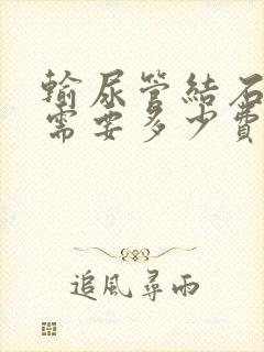 输尿管结石治疗需要多少费用