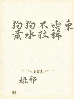 狗狗不吃东西吐黄水拉稀