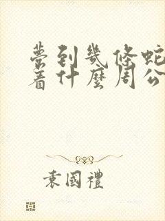 梦到几条蛇预示着什么周公解梦