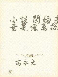 小说 闪婚老公竟是亿万总裁