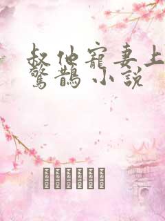 叔他宠妻上瘾花惊鹊 小说