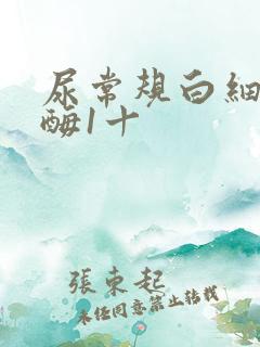 尿常规白细胞酯酶1十