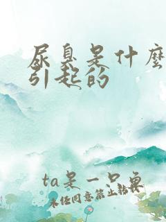 尿臭是什么原因引起的