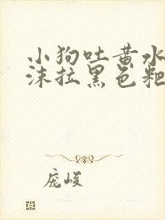 小狗吐黄水带泡沫拉黑色粑粑怎么办