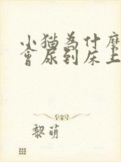 小猫为什么晚上会尿到床上去