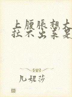 上腹胀想大便又拉不出来是什么原因