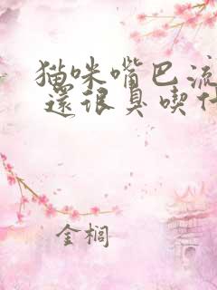 猫咪嘴巴流粘液 还很臭吃什么药