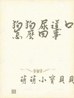 狗狗尿道口红肿怎么回事