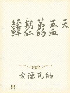 经期第五天又有鲜红的血