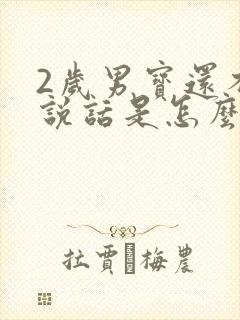 2岁男宝还不会说话是怎么回事