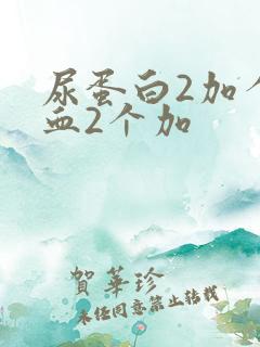 尿蛋白2加个潜血2个加