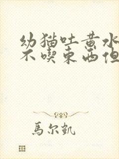 幼猫吐黄水拉稀不吃东西但是精神很好