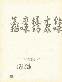 怎么样才能去掉猫咪的尿味