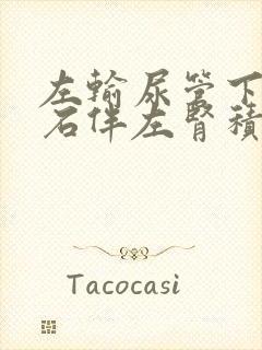 左输尿管下段结石伴左肾积水