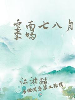 云南七八月是雨季吗