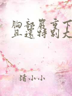 胸部严重下垂而且还特别大怎么办啊