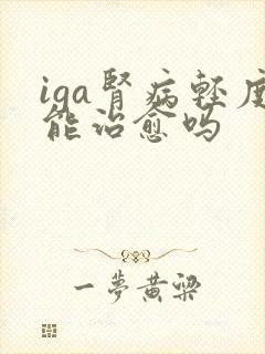 iga肾病轻度能治愈吗