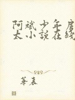 阿斌少年房东太太小说在线阅读