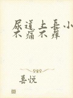 尿道上长小水泡不痛不痒