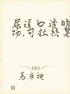 尿道口透明分泌物,可拉丝是怎么回事