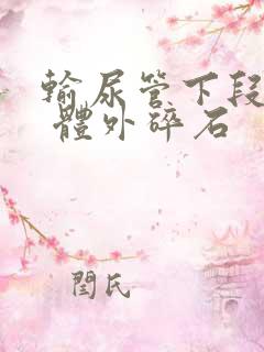 输尿管下段结石 体外碎石