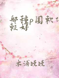 哪种p图软件比较好