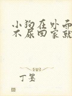 小狗在外面不拉不尿回家就拉