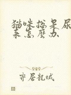 猫咪总是尿不出来怎么办