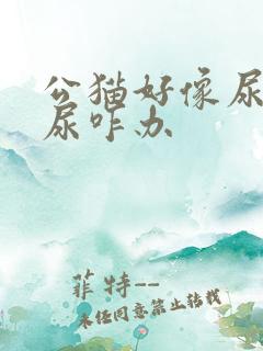 公猫好像尿不出尿咋办