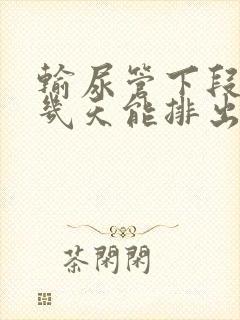 输尿管下段结石几天能排出来