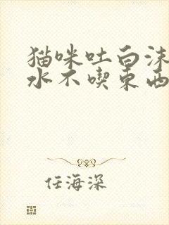 猫咪吐白沫和黄水不吃东西