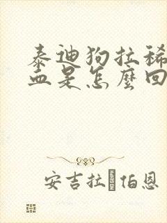 泰迪狗拉稀伴有血是怎么回事