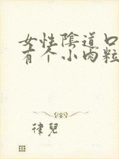 女性阴道口边上有个小肉粒