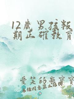 12岁男孩叛逆期正确教育方法