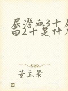 尿潜血3十尿蛋白2十是什么病