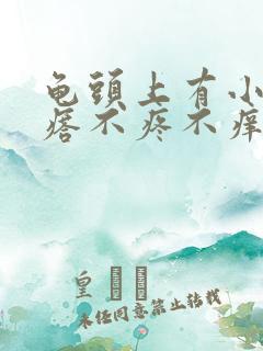 龟头上有小红疙瘩不疼不痒的