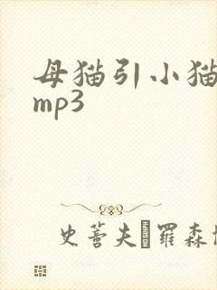 母猫引小猫叫声mp3
