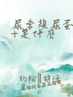 尿常规尿蛋白1+是什么