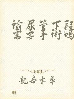 输尿管下段结石需要手术吗