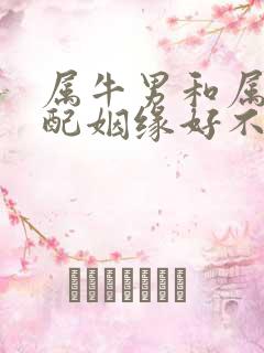 属牛男和属龙女配姻缘好不好呢