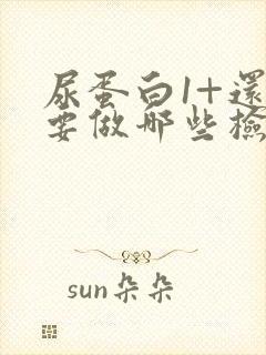 尿蛋白1+还需要做哪些检查