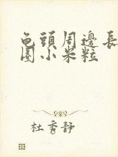 龟头周边长了一圈小米粒