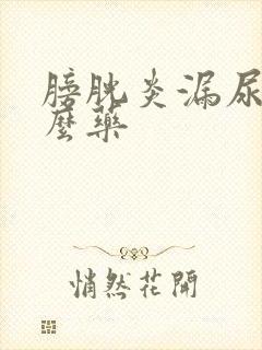 膀胱炎漏尿吃什么药