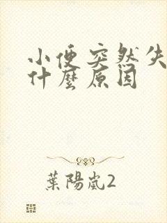 小便突然失禁是什么原因