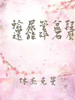 输尿管盆段结石还能碎石么