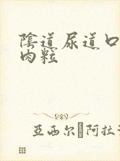 阴道尿道口长小肉粒