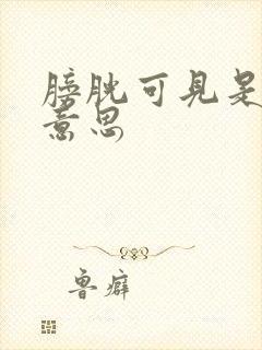 膀胱可见是什么意思