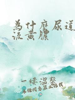 为什么尿道口会流黄脓