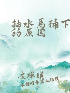 抽水马桶下水慢的原因